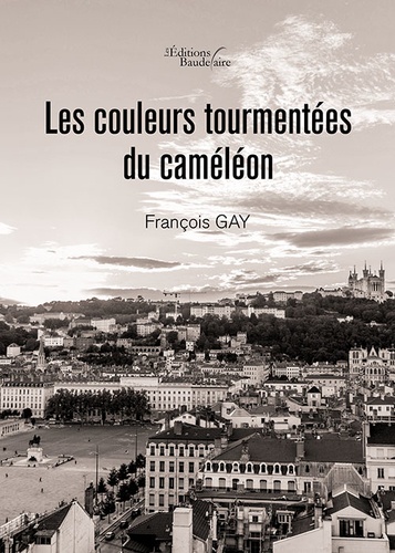 Les Couleurs Tourmentées Du Caméléon