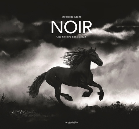 Noir - Une Histoire Dans La Nuit