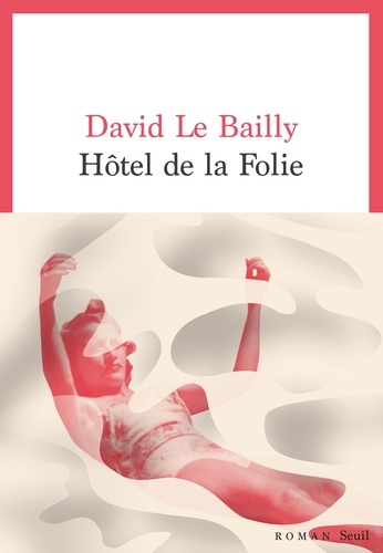 Hôtel de la folie / David Le Bailly | Le Bailly, David - journaliste et écrivain français. Auteur