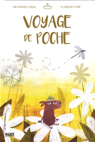 couverture de : Voyage de poche