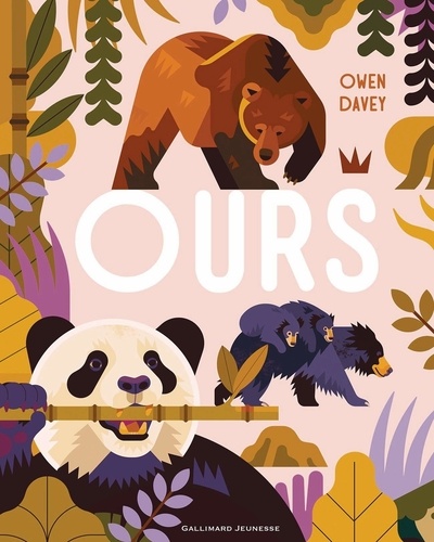 couverture de : Ours