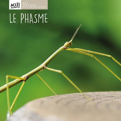 couverture de : Le phasme