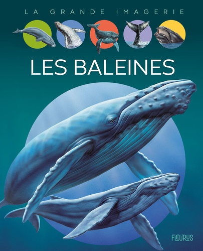 Les baleines / textes, Agnès Vandewiele | Vandewiele, Agnès. Auteur
