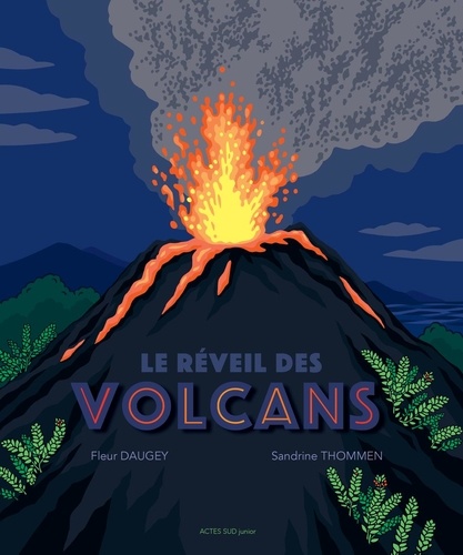 Le réveil des volcans / Fleur Daugey | Daugey, Fleur (1979-....). Auteur