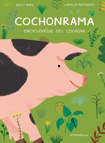 Cochonrama : encyclopédie des cochons / Daisy Bird | Bird, Daisy. Auteur