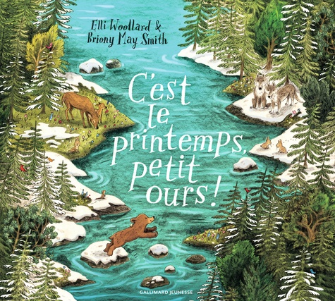 couverture de : C'est le printemps, petit ours !