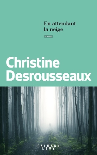 En attendant la neige / Christine Desrousseaux | Desrousseaux, Christine (1952-....)