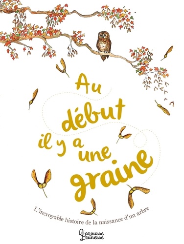 couverture de : Au d&eacute;but il y a une graine