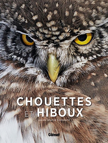 Chouettes et hiboux | Lesaffre, Guilhem. Auteur.e