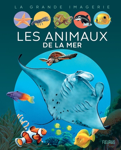 Les animaux de la mer / Emilie Beaumont | Beaumont, Émilie (1948-....). Auteur