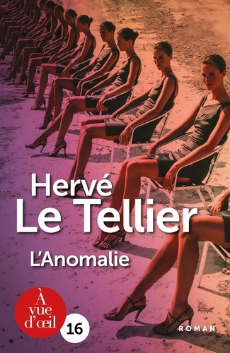 couverture de : L'anomalie