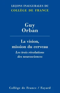La vision, mission du cerveau