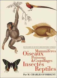 Les Planches du Dictionnaire d'Histoire Naturelle