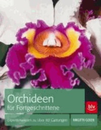 Orchideen für Fortgeschrittene - Expertenwissen zu über 80 Gattungen.