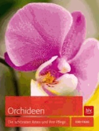 Orchideen - Die schönsten Arten und ihre Pflege.