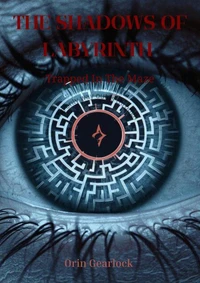 Trapped In The Maze