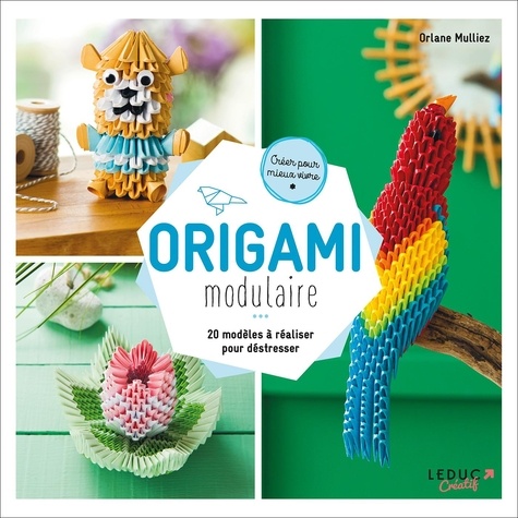 Origami modulaire. 20 modèles à réaliser pour déstresser