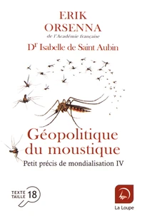 Petit précis de mondialisation