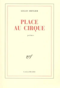 Place Au Cirque