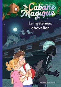 Le mystérieux chevalier