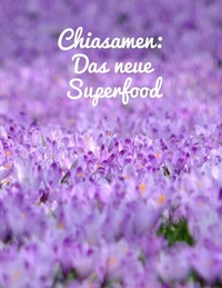 Chiasamen, das neue Superfood.  Zaubersamen. Chiasamen als Kraftnahrung.
