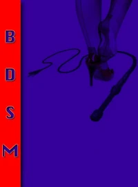 Erotische Geschichten BDSM Band 1.