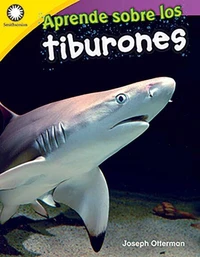 Aprende sobre los tiburones