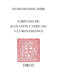 L'Afrique au miroir de l'Europe