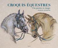 Croquis équestres