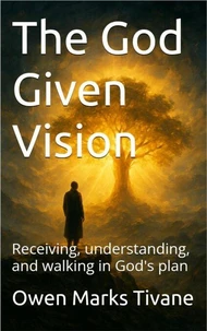 The God Given Vision: Receiving, Understanding, and Walking In God's Plan