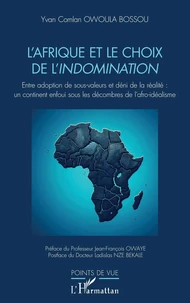 L’Afrique et le choix de l’indomination