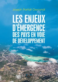Les enjeux d'émergence des pays en voie de développement