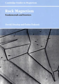Rock Magnetism. Fundamentals And Frontiers