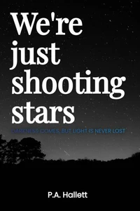 We're just shooting stars