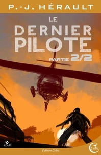 Le Dernier Pilote 2 - Après le Chaos