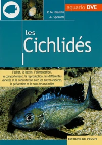 Les cichlidés