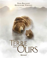 Terre des ours