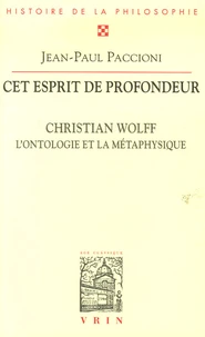 Cet esprit de profondeur