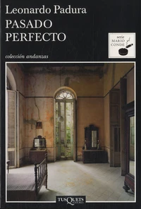 Pasado perfecto