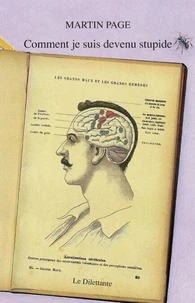Comment Je Suis Devenu Stupide