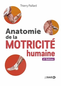 Anatomie de la motricité humaine