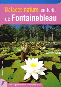 Balades nature en forêt de Fontainebleau