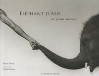 Palani Mohan - Eléphant d'Asie - Un géant menacé.