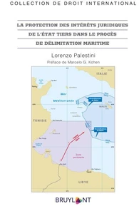 La protection des intérêts juridiques de l'Etat tiers dans le procès de délimitation maritime