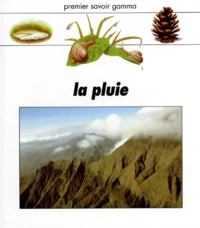 La Pluie