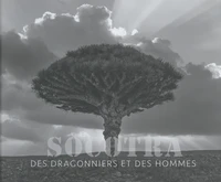 Socotra