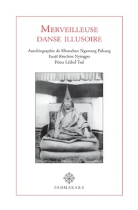 Merveilleuse danse illusoire