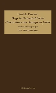 Chiens dans des champs en friche