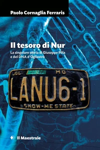 Il tesoro di Nur
