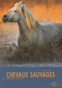 Paolo Manili - Chevaux sauvages.